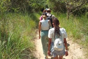 Tour di un giorno sulle colline di Shimba con percorso naturalistico di Shifoga
