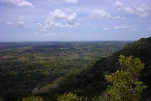 Full Day Shimba hills tour with Shifoga nature trail