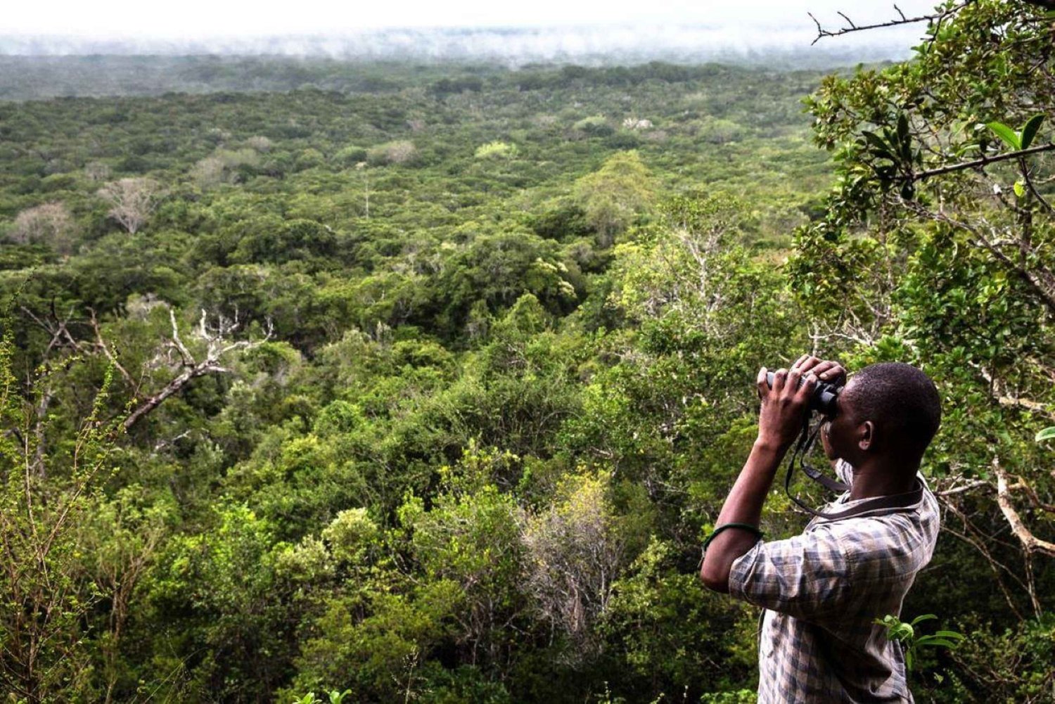 Tour de 1 día al Parque Nacional Arabuko Sokoke desde Malindi
