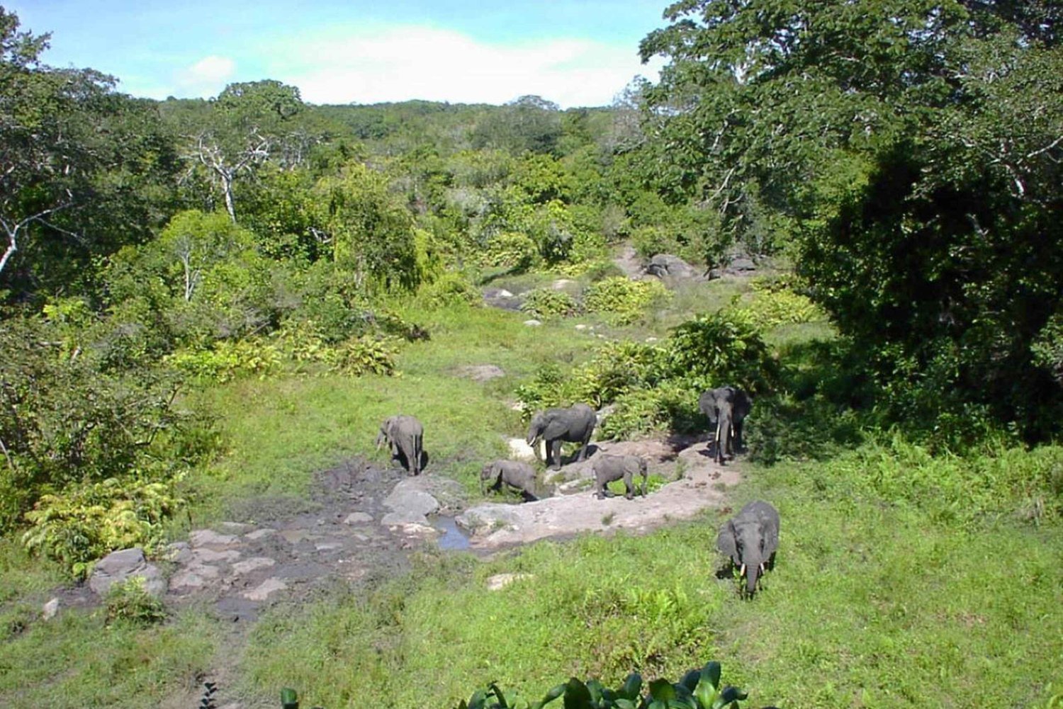 Tour de 1 día al Parque Nacional Arabuko Sokoke desde Malindi