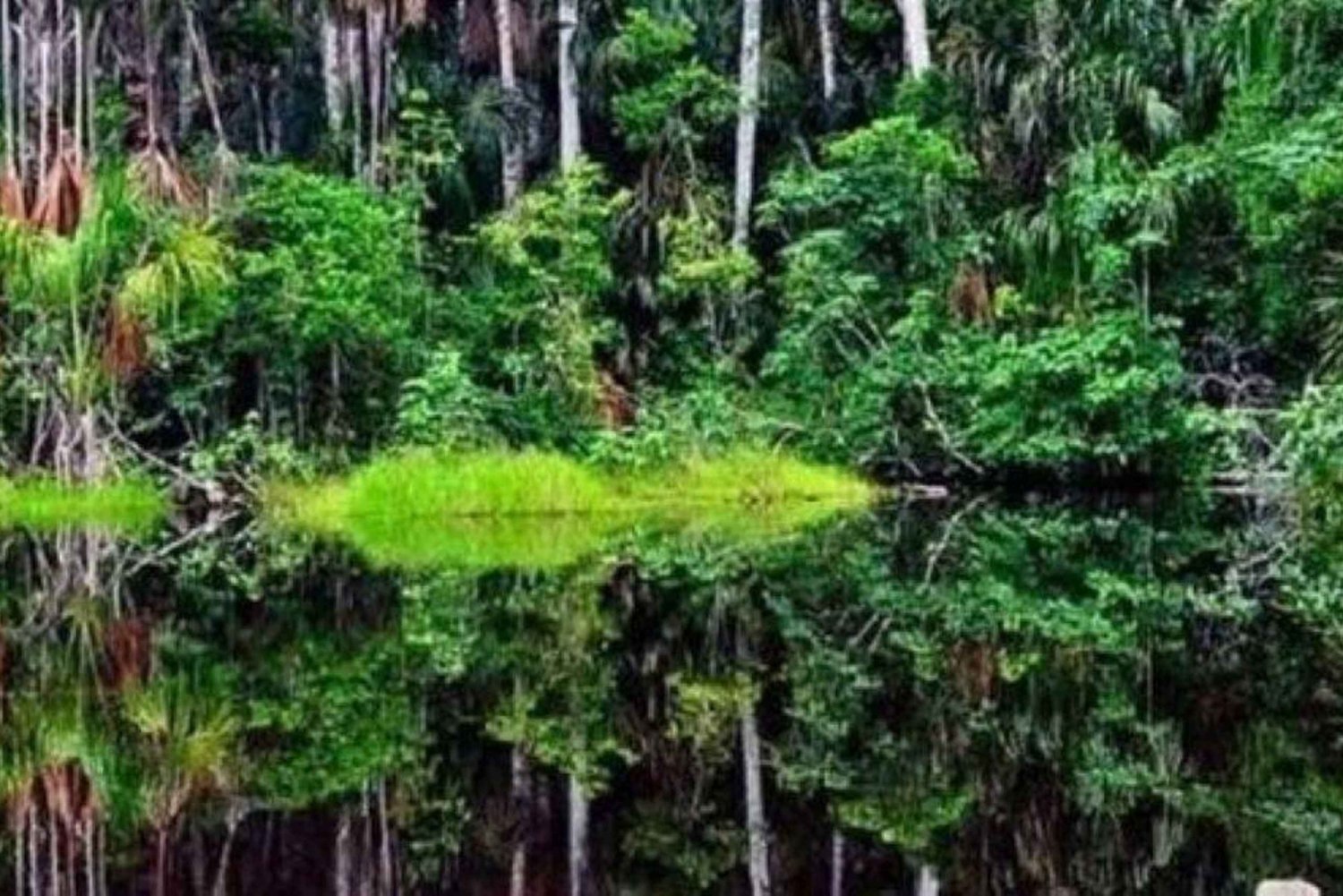 Tour de 1 día al Parque Nacional Arabuko Sokoke desde Malindi