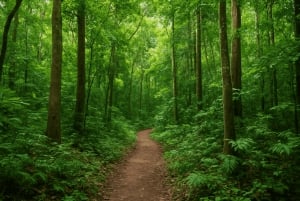 Tour de 1 día al Parque Nacional Arabuko Sokoke desde Malindi