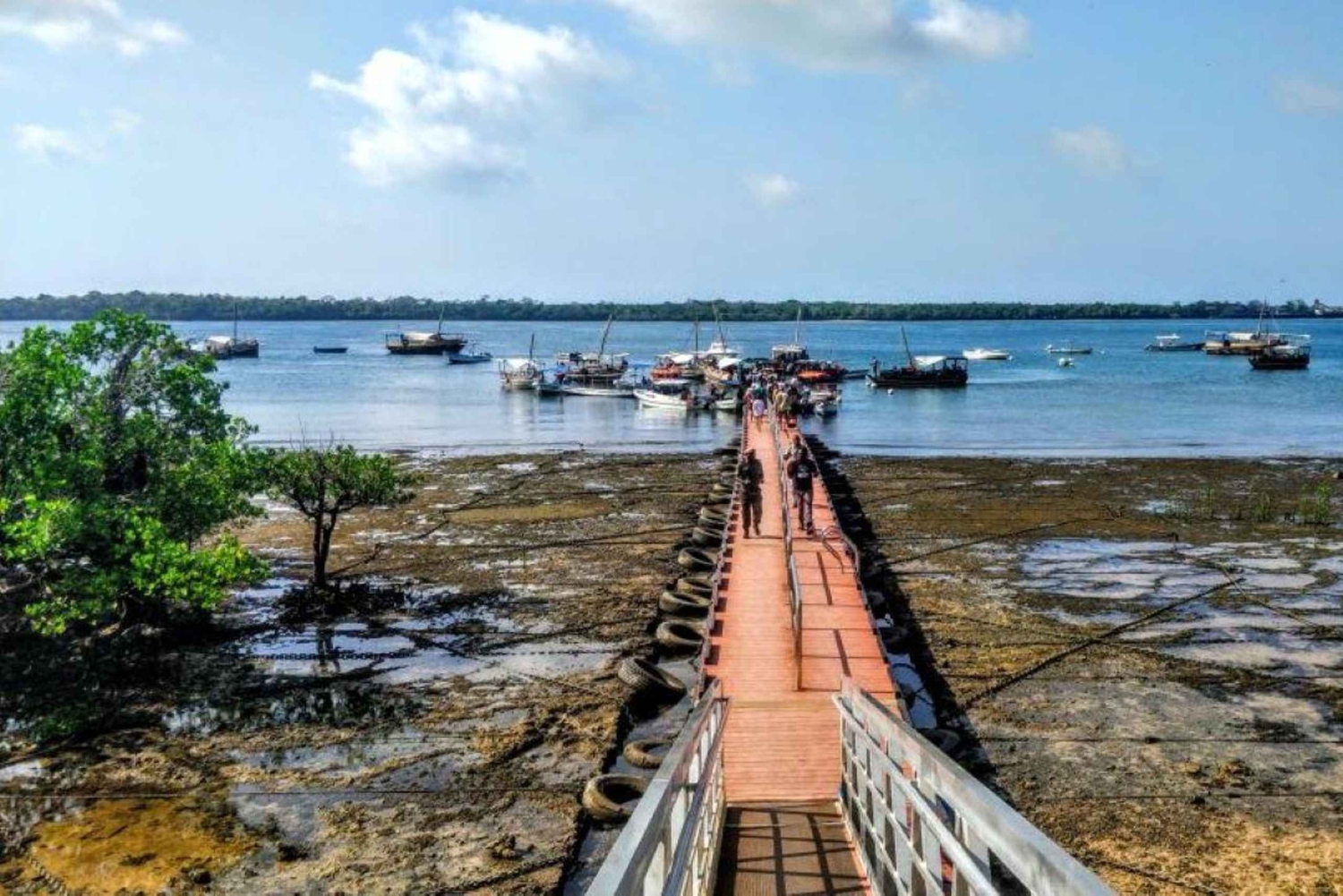 Excursion d'une journée complète à l'île de Wasini avec plongée et déjeuner