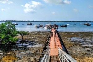 Excursion d'une journée complète à l'île de Wasini avec plongée et déjeuner