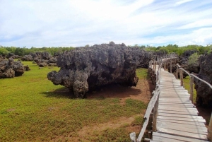 Excursion d'une journée complète à l'île de Wasini avec plongée et déjeuner