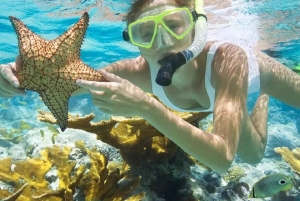 Excursion d'une journée complète à l'île de Wasini avec plongée et déjeuner