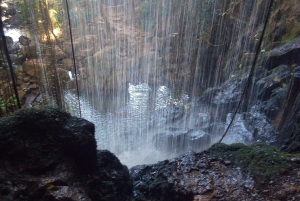 Volledig Paradise Lost Recreatiedag