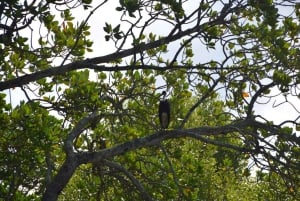 Funzi Island: Full-Day Funzi Tour with Boat & Seafood Lunch