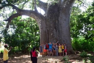 Funzi Island: Full-Day Funzi Tour with Boat & Seafood Lunch