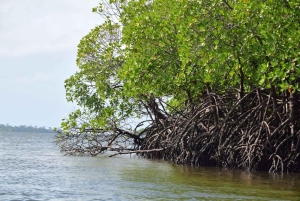 Funzi-saari: Koko päivän Funzi-retki veneellä ja meren antimista koostuvalla lounaalla