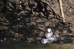 Funzi-saari: Koko päivän Funzi-retki veneellä ja meren antimista koostuvalla lounaalla