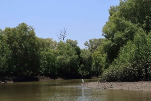 Funzi-saari: Koko päivän Funzi-retki veneellä ja meren antimista koostuvalla lounaalla