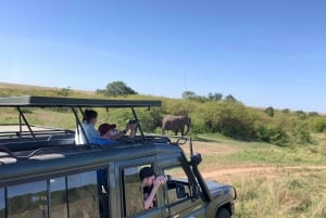 Game drive in Amboseli
