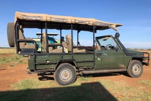 Game drive in Amboseli