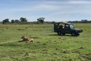 Game drive in Amboseli