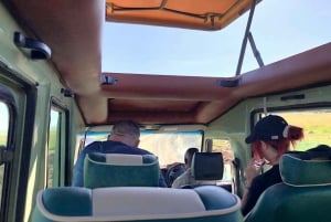 Game drive in Amboseli