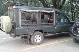 Game Drive Maasai Mara