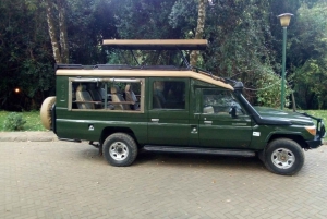 Safari en Maasai Mara