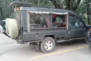 Safari dans le Maasai Mara