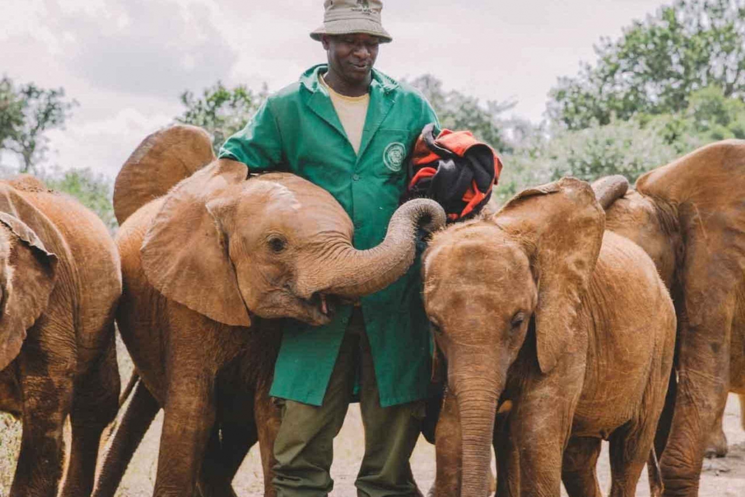 Nairobi: Excursión de un día al Orfanato de Elefantes, Jirafas y Bomas