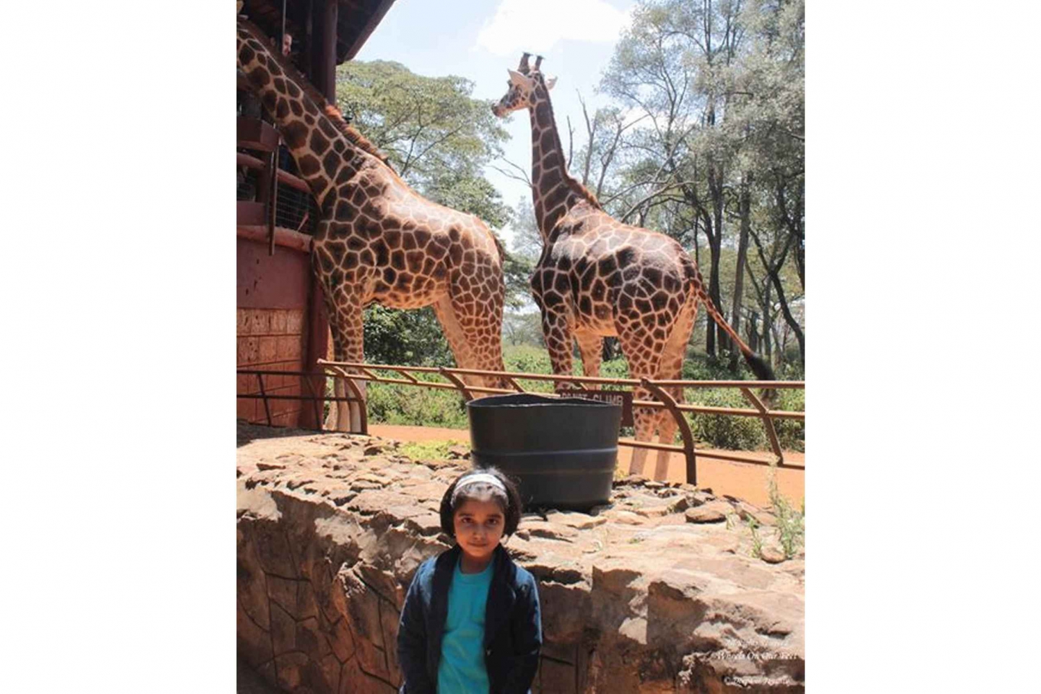 Giraffcenter och Karen Blixen-museet från Nairobi