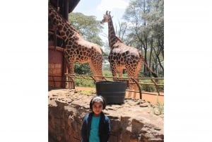 Giraffe Center and Karen Blixen Museum Tour from Nairobi