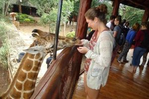 Kirahvikeskus, norsujen orpokoti ja Kazurin helmikierros