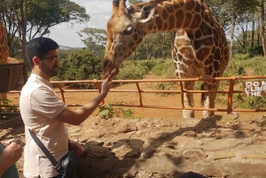 Kirahvikeskus, norsujen orpokoti ja Kazurin helmikierros
