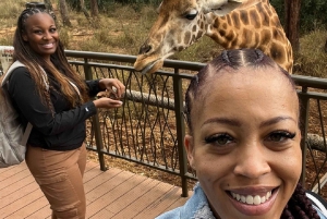 Giraffe center, Karen blixen and kazuri kobe beads tour