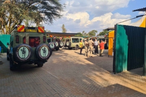 Giraffe center, Karen blixen and kazuri kobe beads tour
