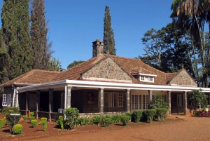 Giraffe Center,Karen Blixen & Elephant Orphanage Day Tour