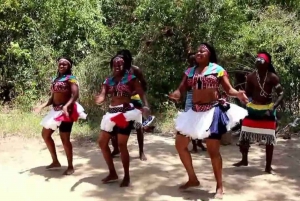 Giraffe Centre, Elephant Orphanage and Bomas of Kenya Tour