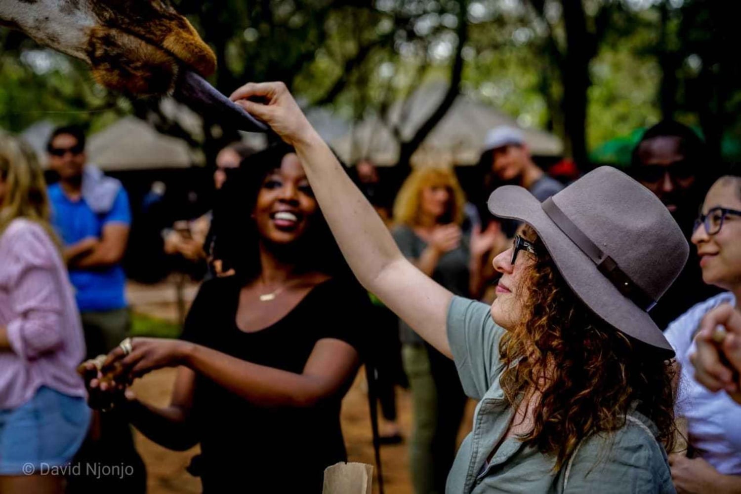 Kirahvi, norsujen orpokoti