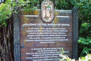 Girafa, Orfanato de elefantes