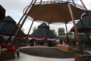 Girafa, Orfanato de elefantes