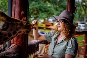 Kirahvi, norsujen orpokoti