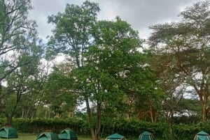 Groepsdagtour naar Hell's Gate en het Naivashameer