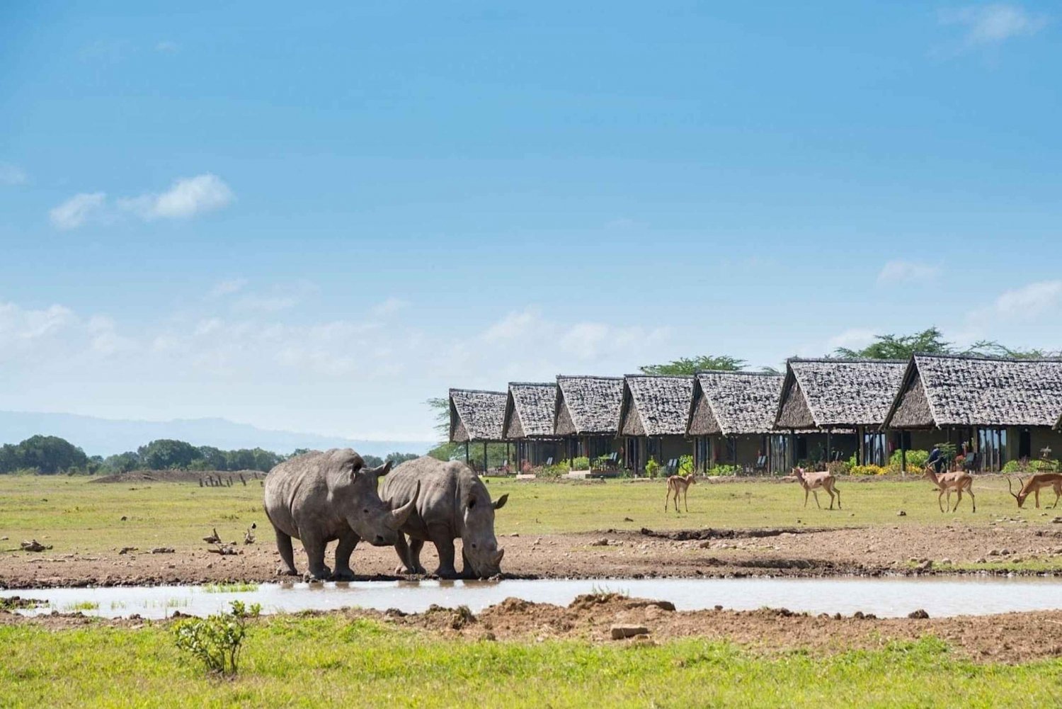 Guided Day Tour To Ol Pejeta Conservancy From Nairobi