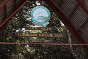 Guidad Kilimanjaro 1 dags vandring till Rongai-Kenya till TZ