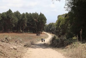Escursione guidata di un giorno sul Monte Kilimanjaro a Rongai-Kenya to TZ