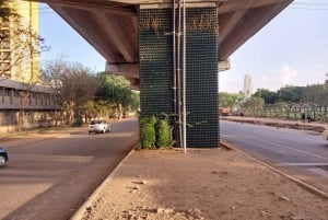 Guided Nairobi tour- Museum,City Market to KICC rooftop