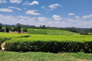 Guided Nairobi tour- Museum,City Market to KICC rooftop