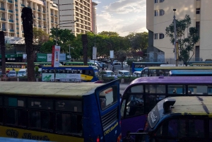 Guided Nairobi tour- Museum,City Market to KICC rooftop