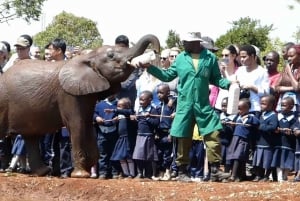 Visita guidata: Orfanotrofio degli elefanti e Giraffe Centre-Nairobi