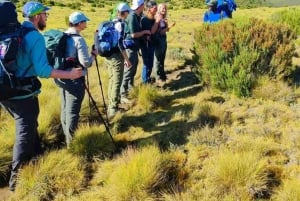 Guidet tur til Ngong Hills fra Nairobi