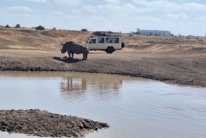 Halvdag Nairobi National Park guidad tur med gratis upphämtning
