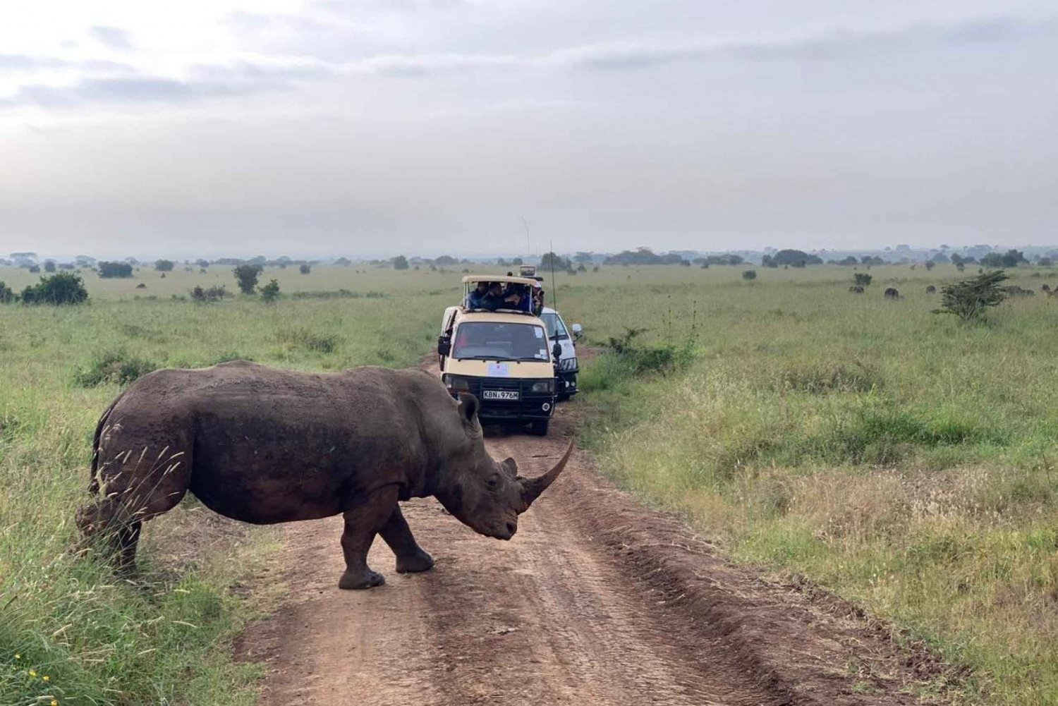 Tour guiado de medio día por el Parque Nacional de Nairobi con servicio de recogida gratuito