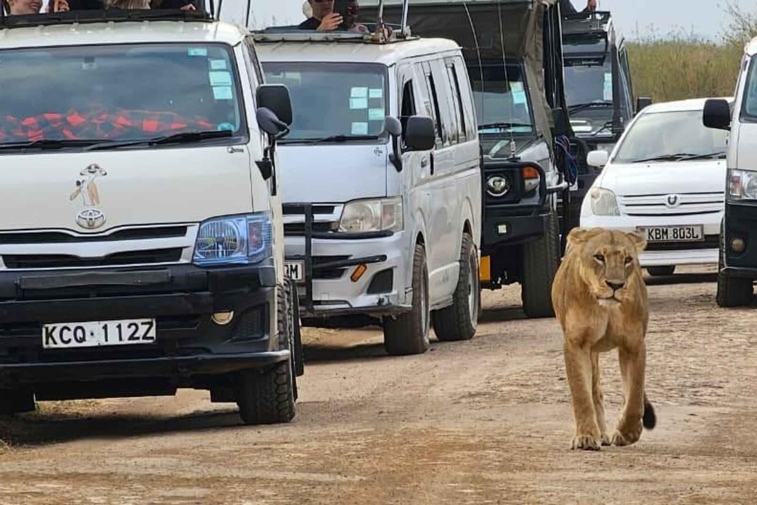 Medio día en el Parque Nacional de Nairobi con recogida gratuita.