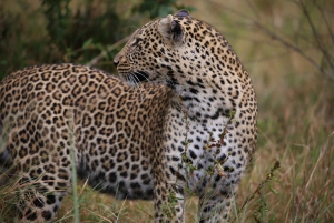 Half day Nairobi National Park with free pick up