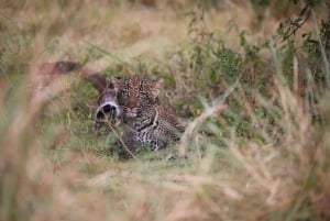 Half day Nairobi National Park with free pick up